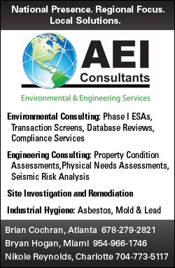 AEI Consultants